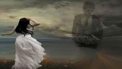 رجوع الحبيب لحبيبه