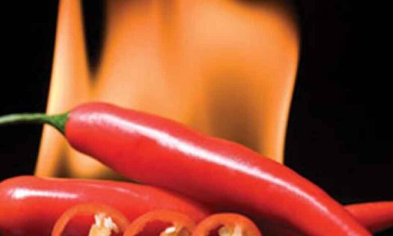 جلب الحبيب بالملح وضرب جلب الحبيب بالملح والفلفل