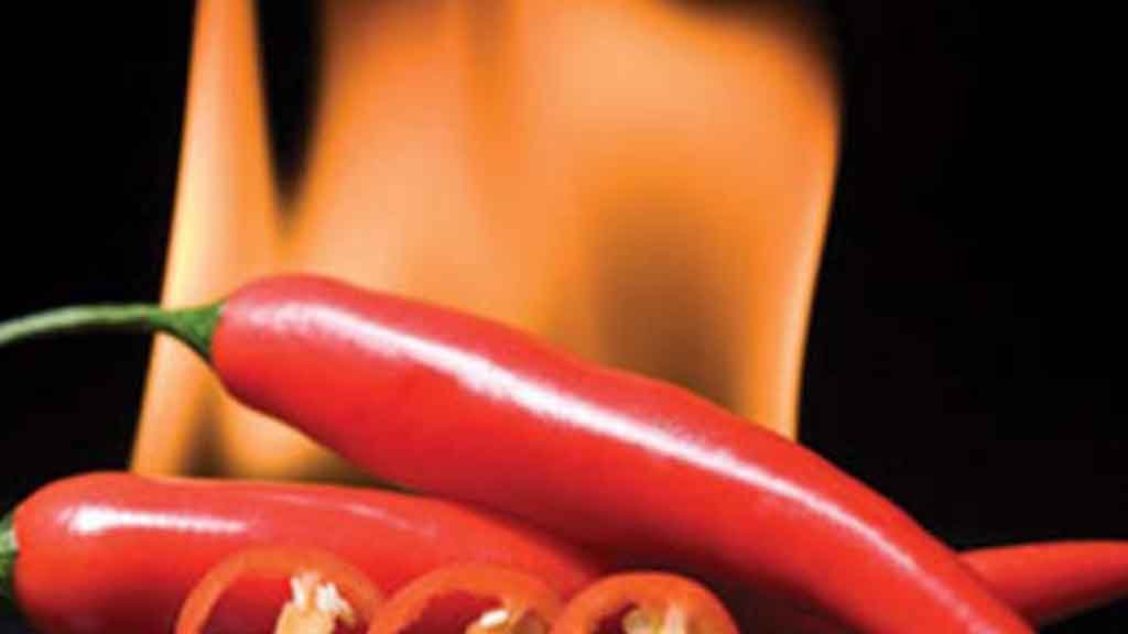 جلب الحبيب بالملح وضرب جلب الحبيب بالملح والفلفل لرجوع الحبيب و الزوج بصورته و جلب الحبيبة بالمحبة القوية و الطاعة